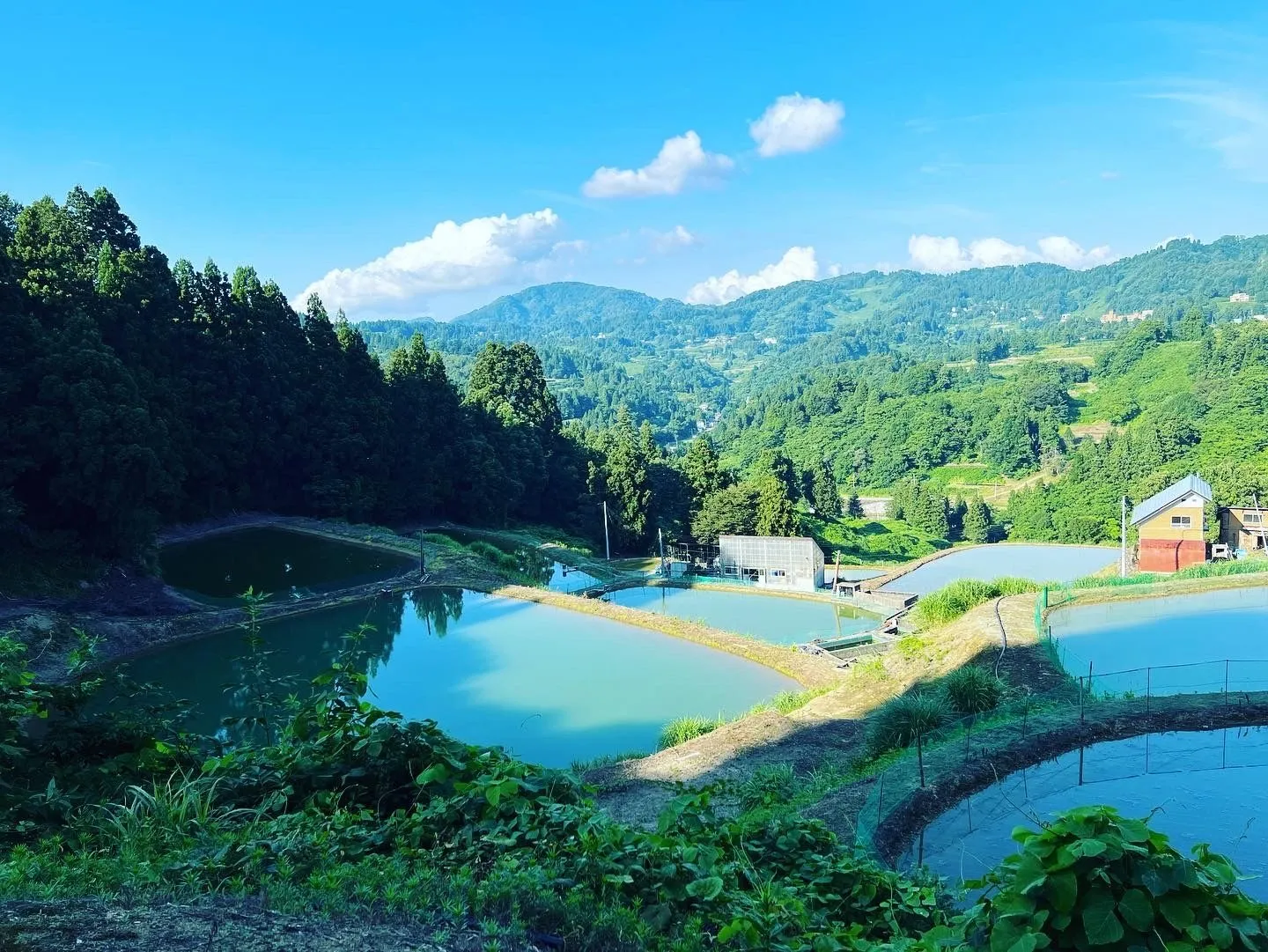 育成の流れを季節に合わせて案内