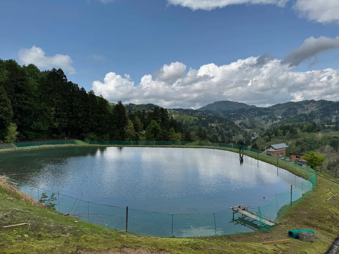 I'm ready to move koi❗️