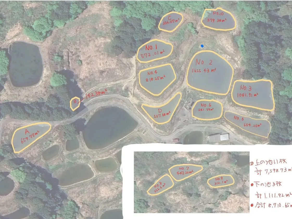 I'm ready to move koi❗️