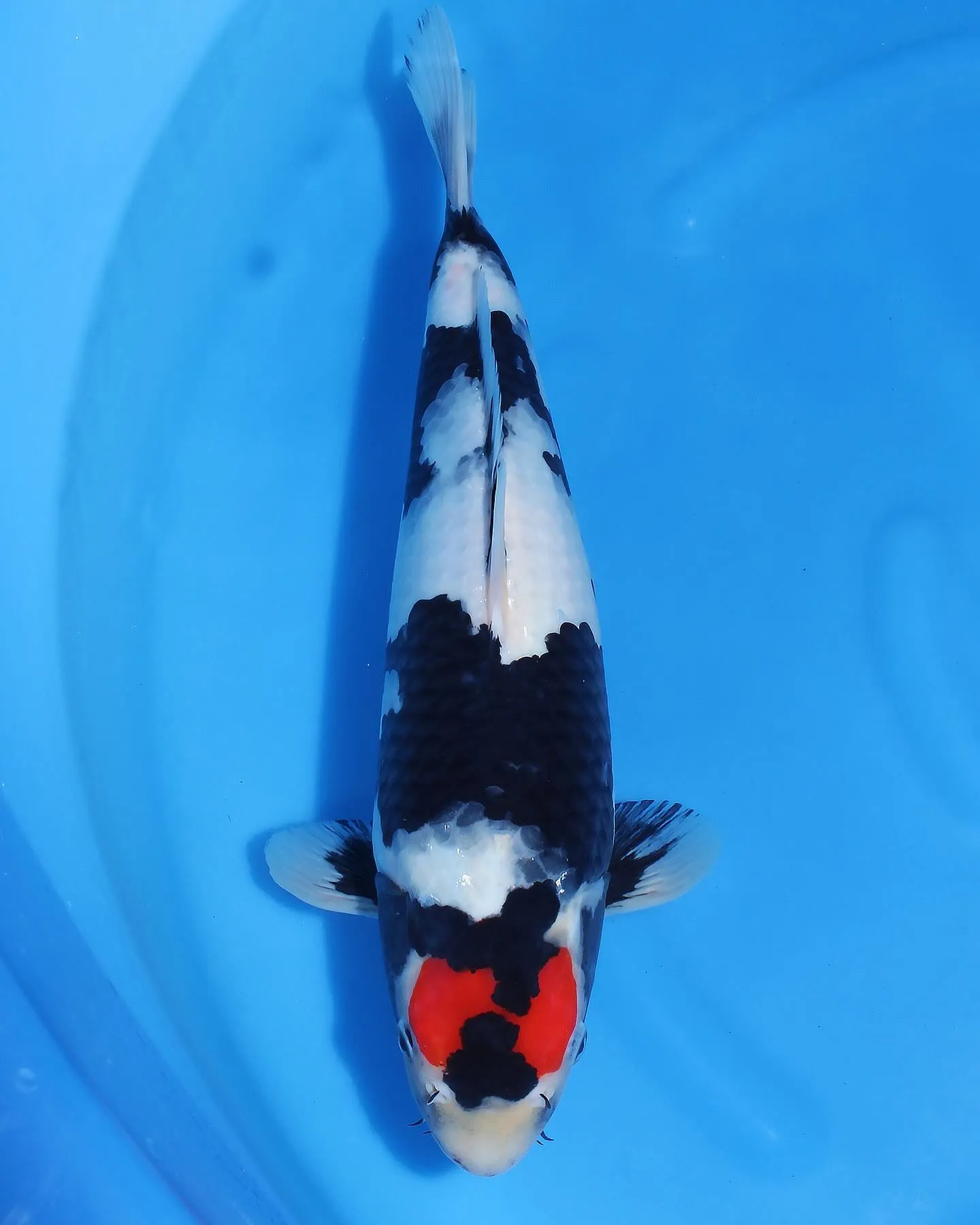 本年も1年間ありがとうございました❗️