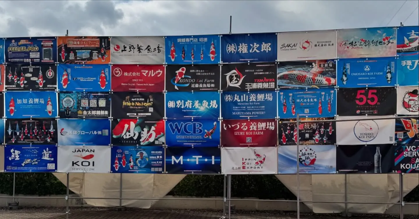 明日から国際幼魚品評会❗️