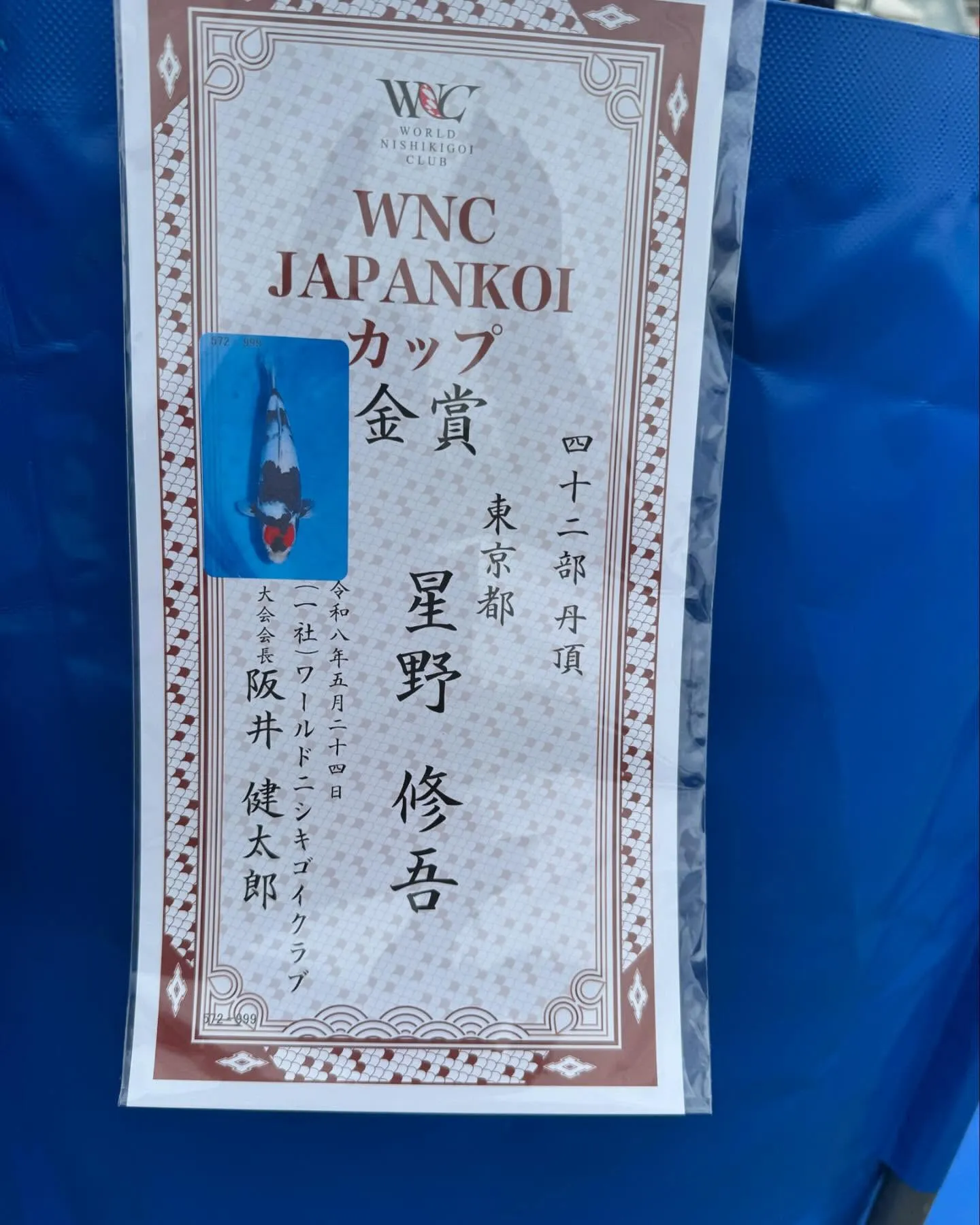 記念すべき第1回ジャパンコイカップにて弊社出品取り扱いの鯉が...