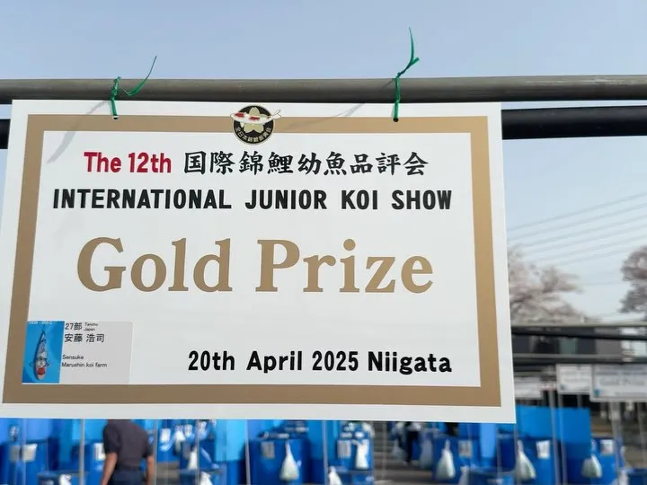 第12回国際幼魚品評会❗️