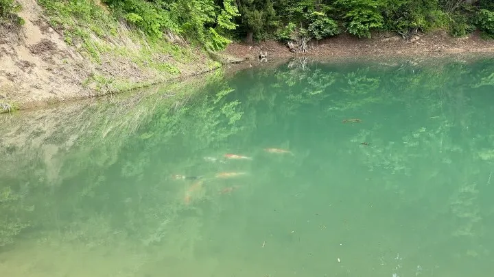 野池の水温が上がって来たので、