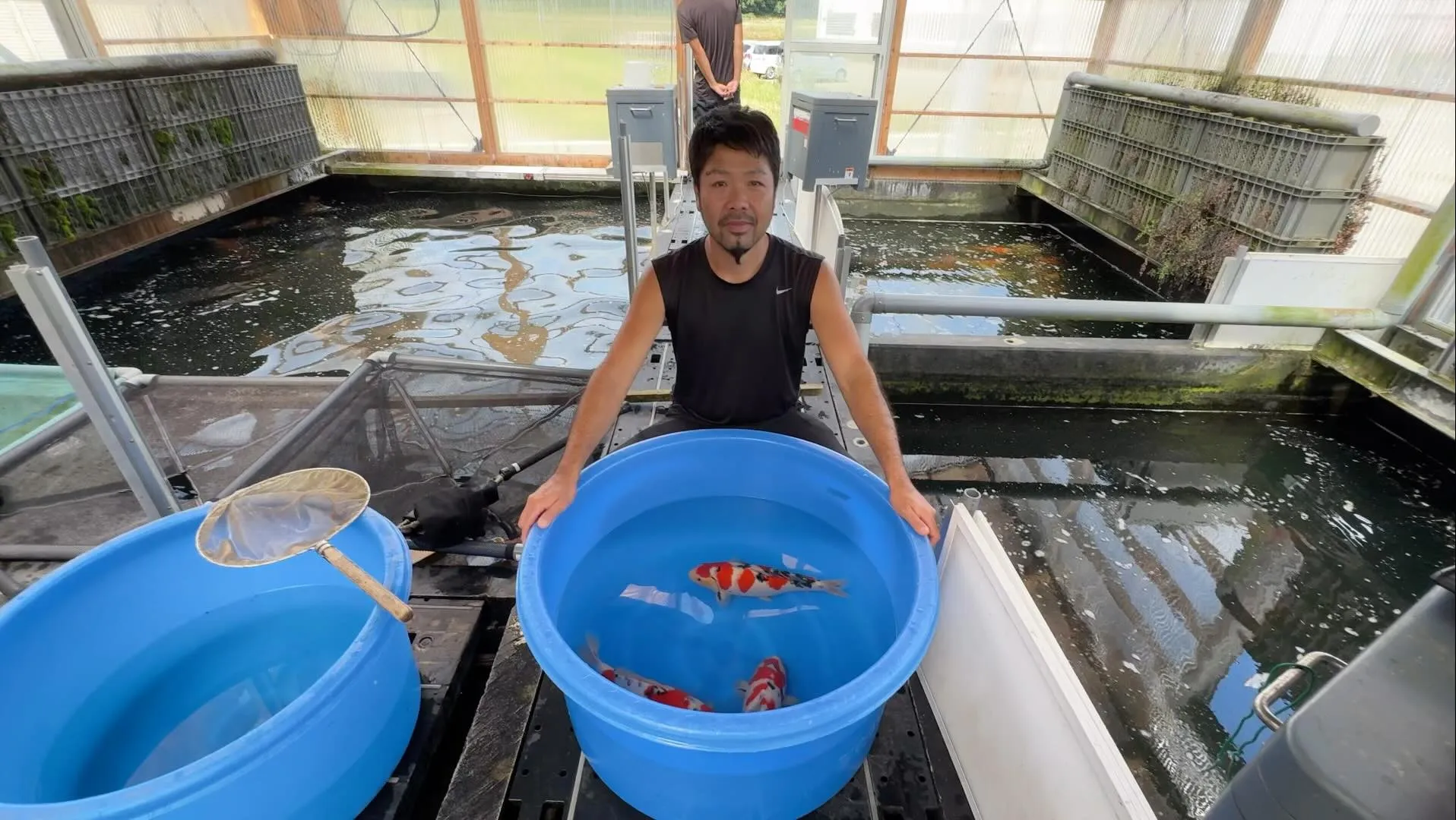 斎藤養鯉場から抜群の大正三色を出して貰いました❗️