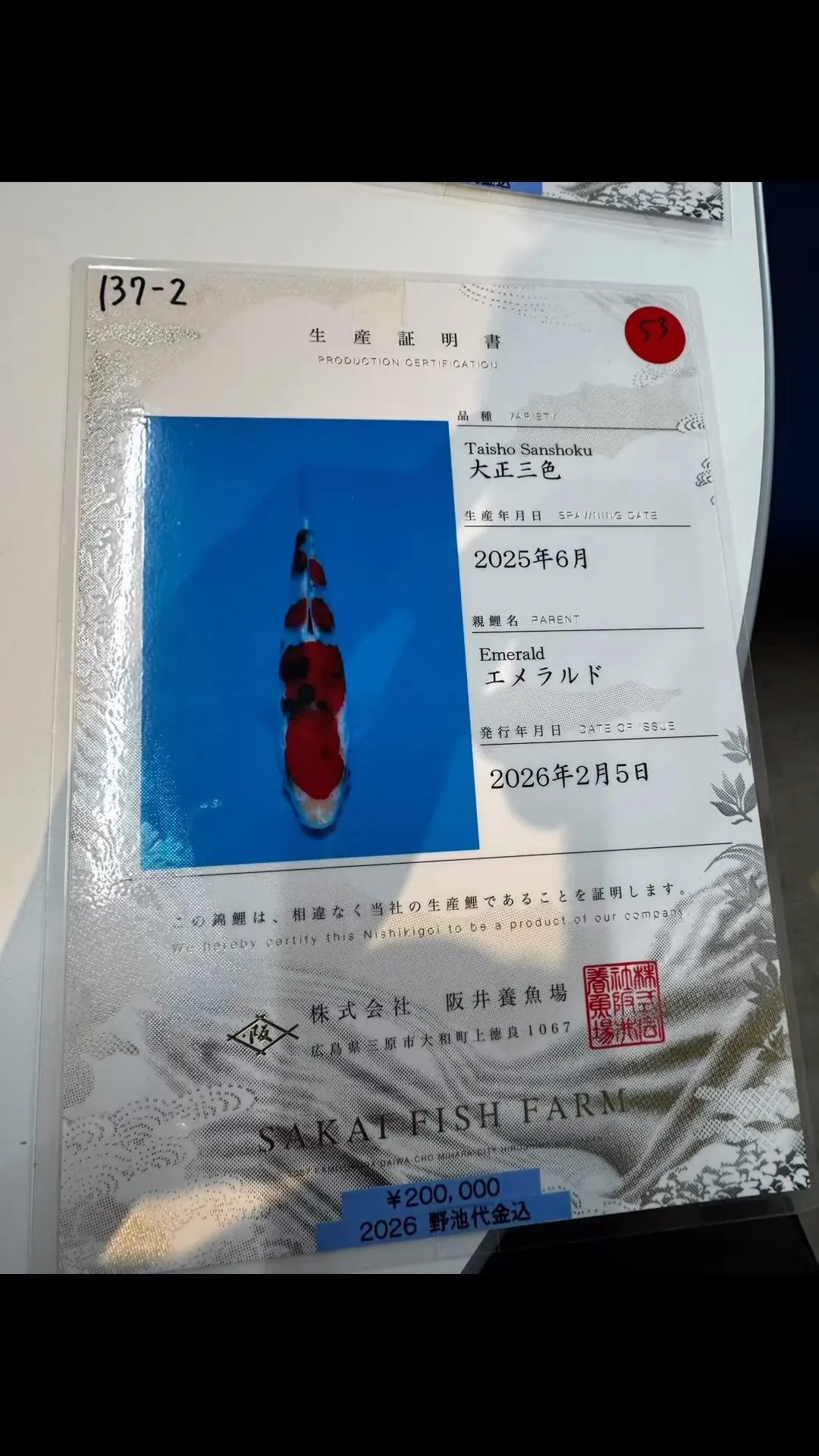 高いやつが当たっちゃった💦