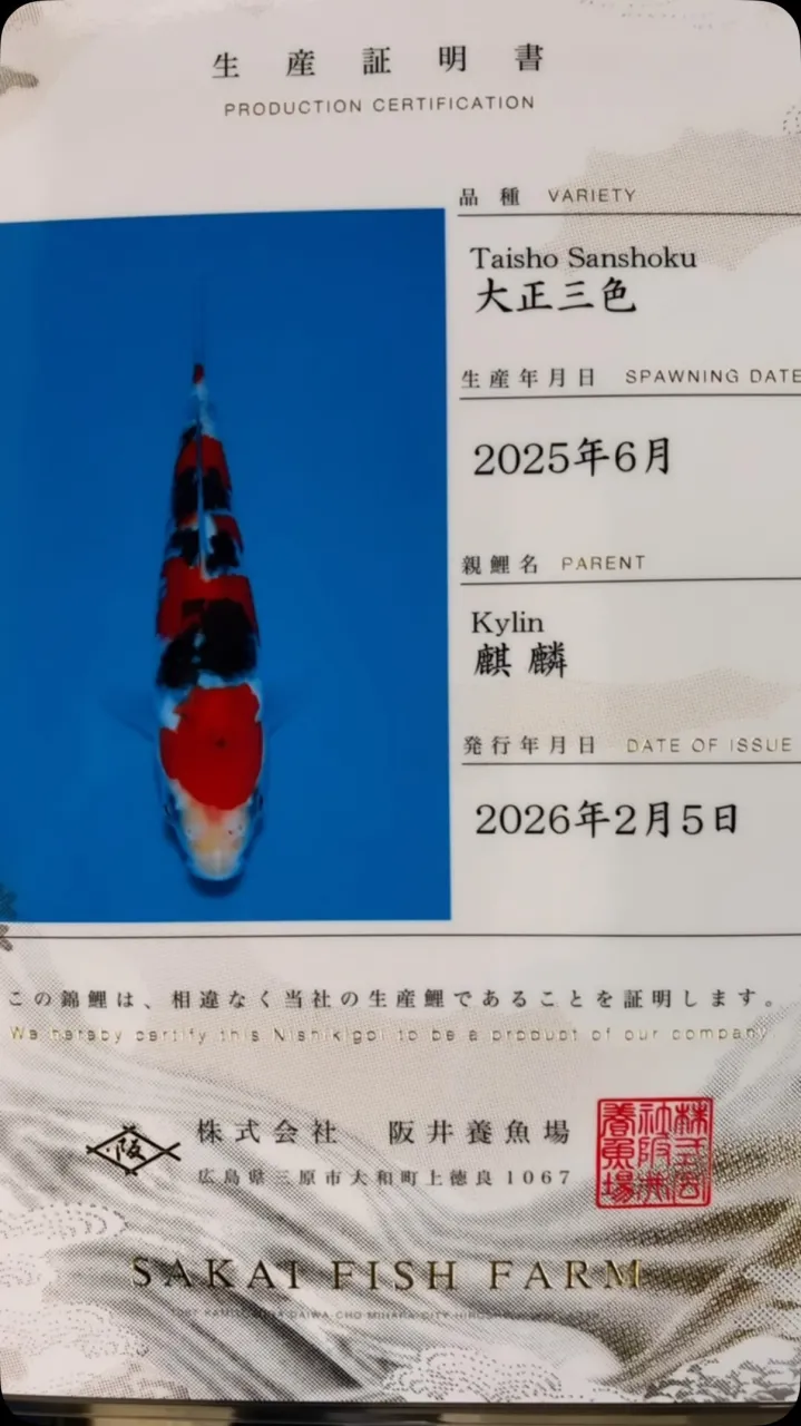 3ヶ月チョットでかなり印象が変わったなー
